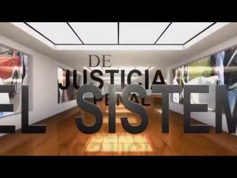 El Papel Crucial del Penalista en la Defensa de los Derechos Humanos