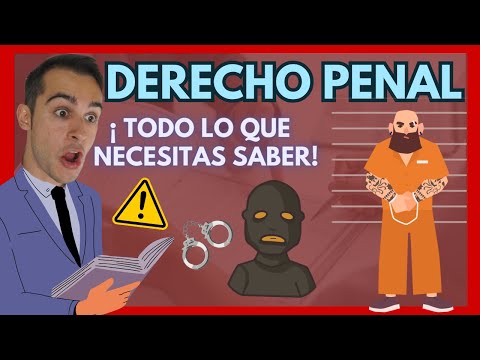 ¿Qué es el derecho penal y cuáles son sus principales características?