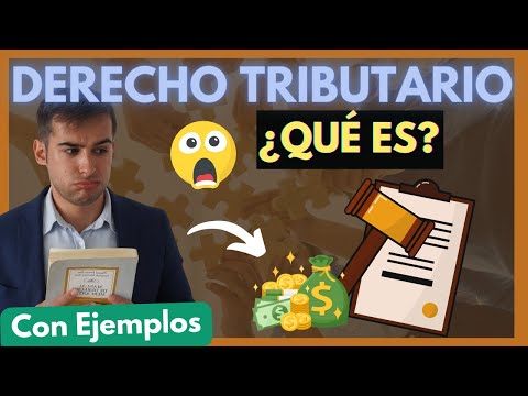 Derecho Tributario: Claves para Entender su Importancia y Aplicación en el Mundo Empresarial
