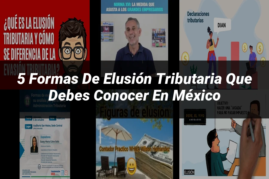 "5 Formas de Elusión Tributaria que Debes Conocer en México"