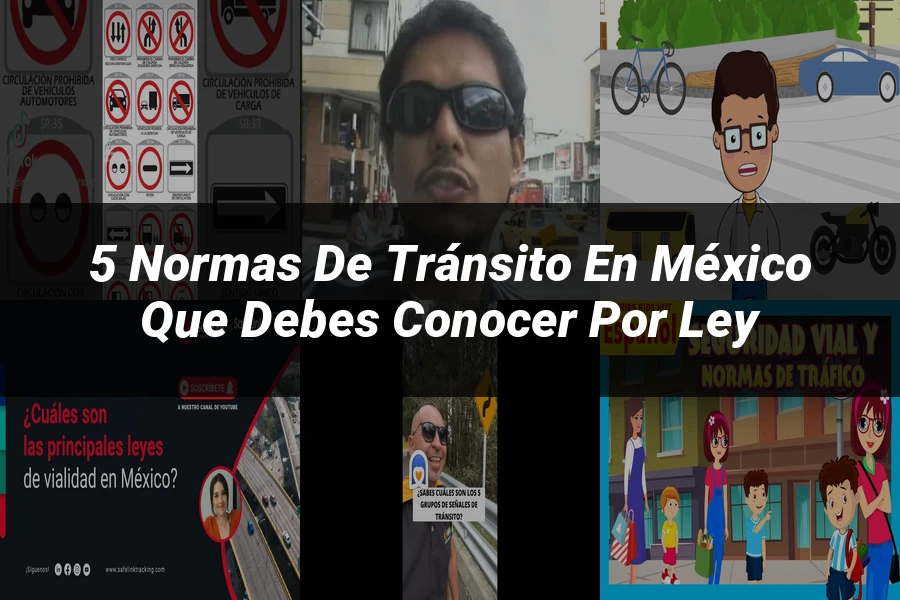 "5 Normas de Tránsito en México que Debes Conocer por Ley"