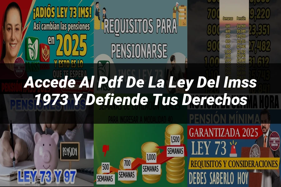 "Accede al PDF de la Ley del IMSS 1973 y Defiende tus Derechos"