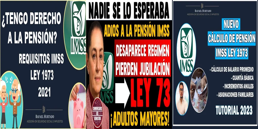 "Accede al PDF de la Ley del IMSS 1973 y Defiende tus Derechos"