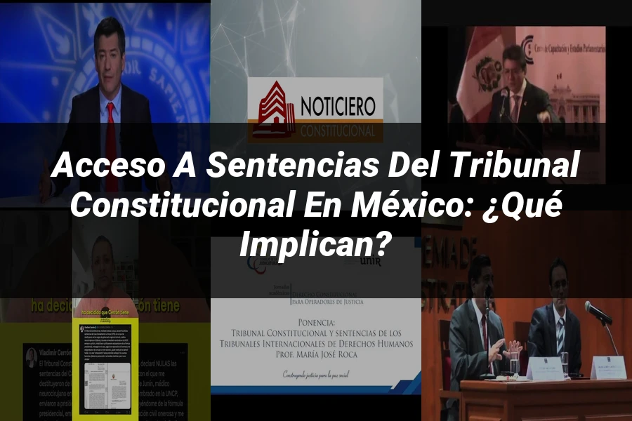 "Acceso a Sentencias del Tribunal Constitucional en México: ¿Qué Implican?"