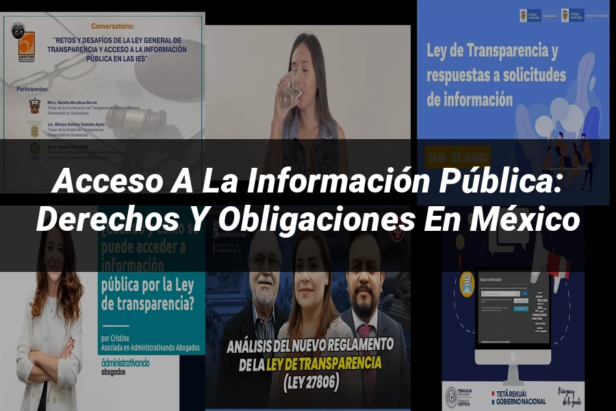 "Acceso a la información pública: derechos y obligaciones en México"