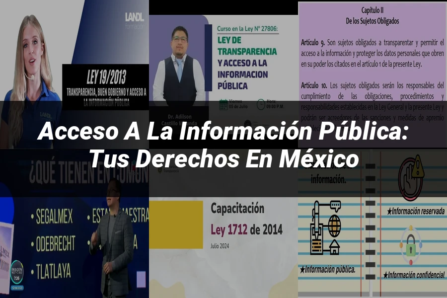 "Acceso a la información pública: tus derechos en México"