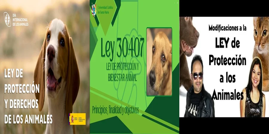 "Actualización de la Ley de Protección Animal en México: ¿Qué Cambia?"