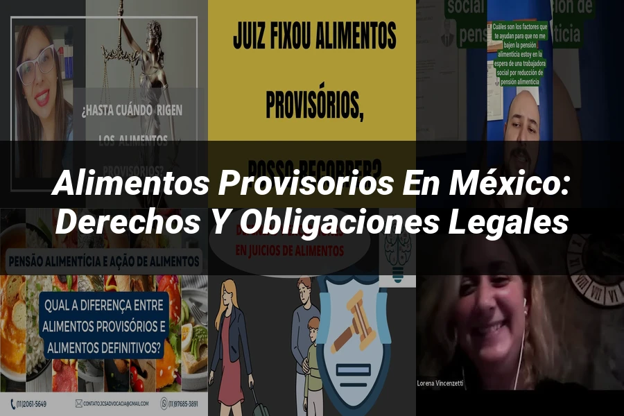 "Alimentos Provisorios en México: Derechos y Obligaciones Legales"