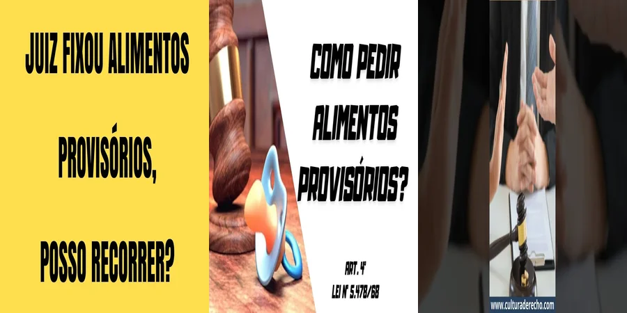 "Alimentos Provisorios en México: Derechos y Obligaciones Legales"