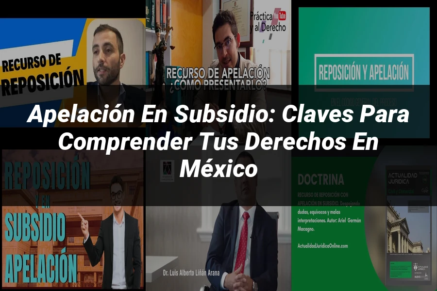 "Apelación en Subsidio: Claves para Comprender tus Derechos en México"