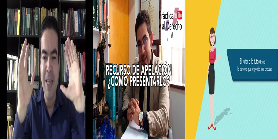 "Apelación en Subsidio: Claves para Comprender tus Derechos en México"