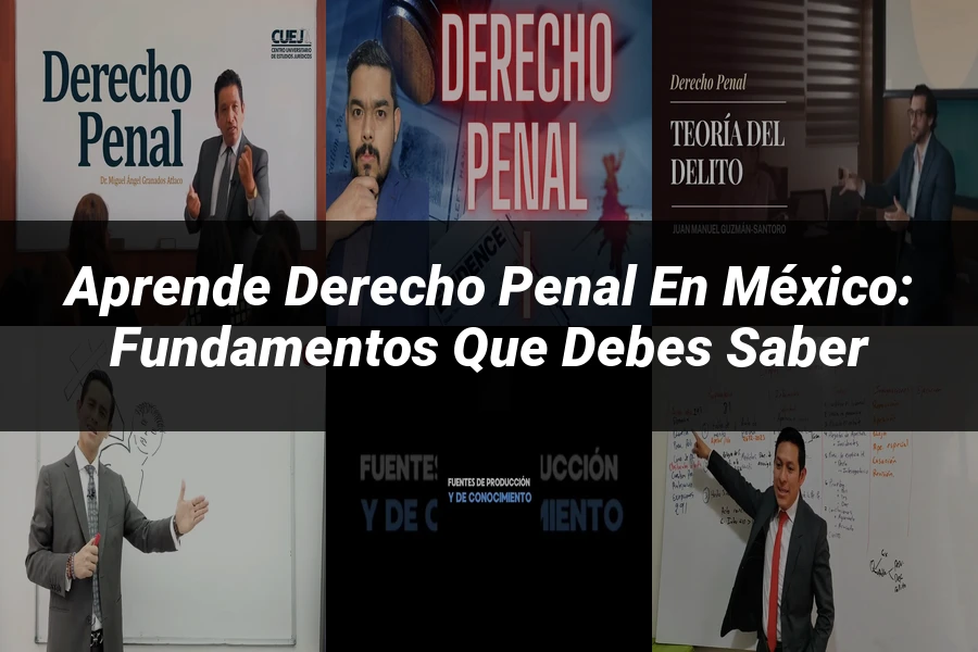 "Aprende Derecho Penal en México: Fundamentos que Debes Saber"