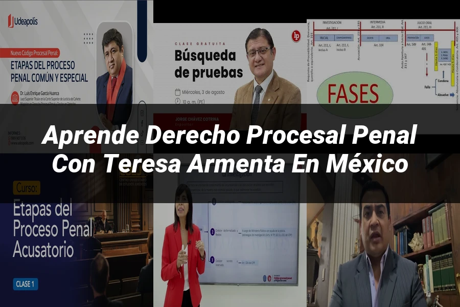 "Aprende Derecho Procesal Penal con Teresa Armenta en México"