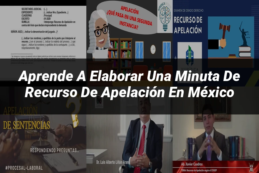 "Aprende a Elaborar una Minuta de Recurso de Apelación en México"