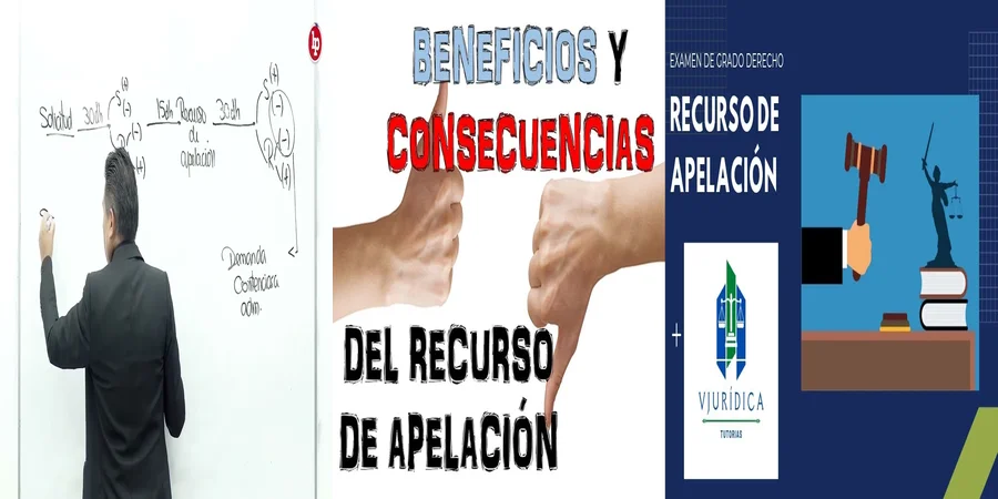 "Aprende a Elaborar una Minuta de Recurso de Apelación en México"