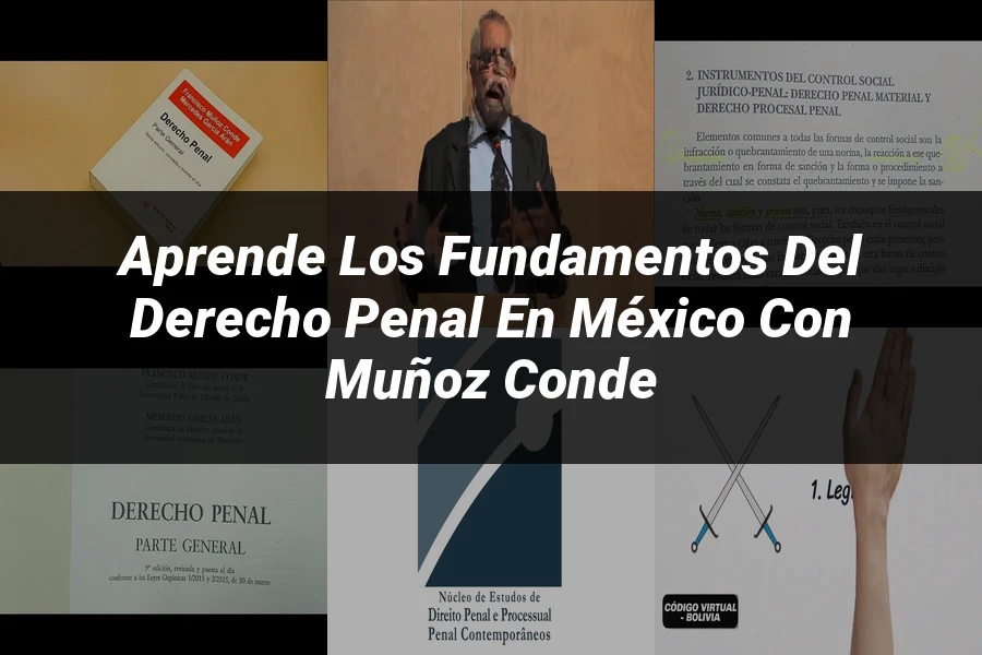 "Aprende los Fundamentos del Derecho Penal en México con Muñoz Conde"