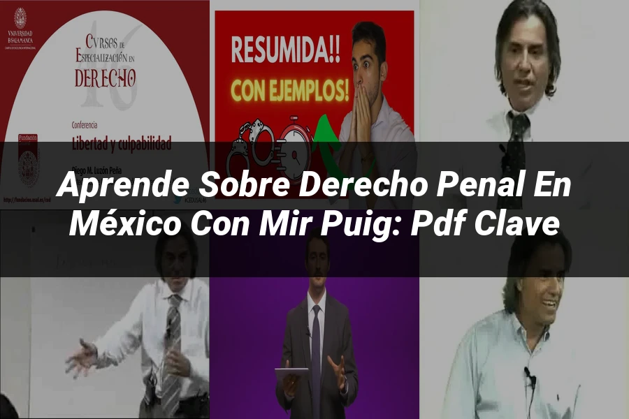"Aprende sobre Derecho Penal en México con Mir Puig: PDF clave"