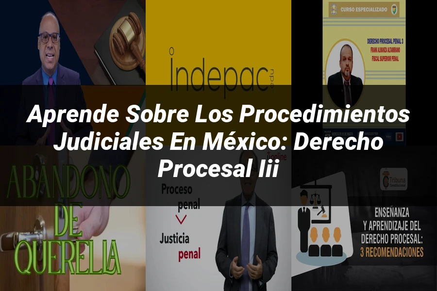"Aprende sobre los Procedimientos Judiciales en México: Derecho Procesal III"