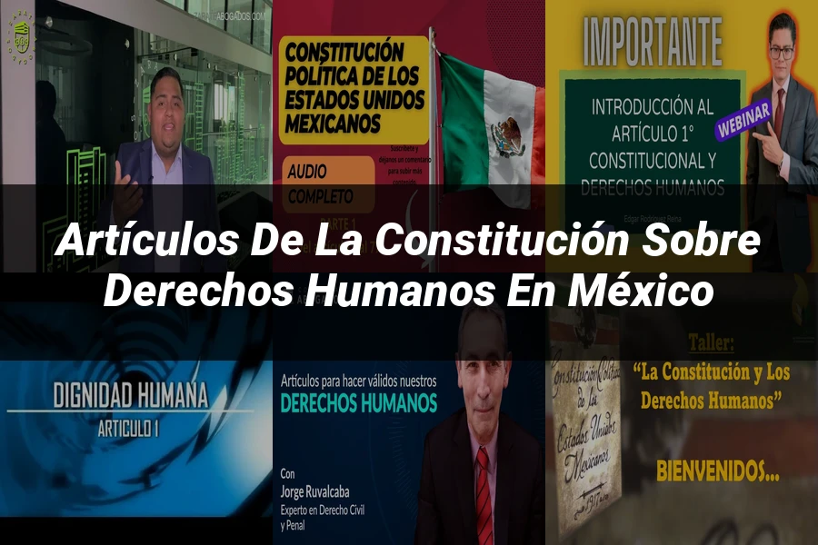 "Artículos de la Constitución sobre Derechos Humanos en México"