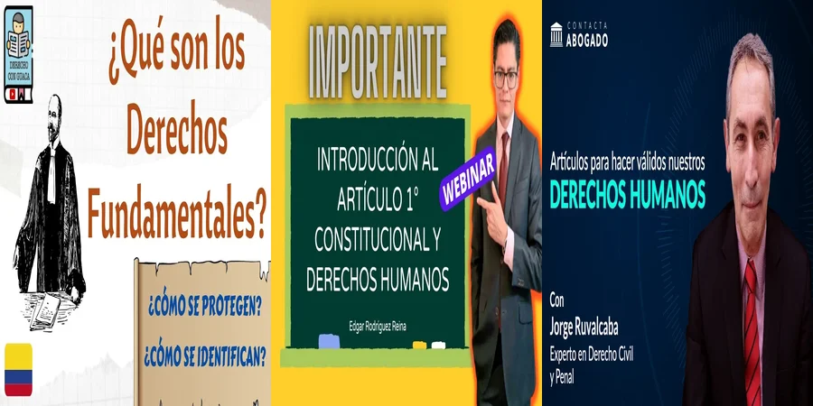 "Artículos de la Constitución sobre Derechos Humanos en México"