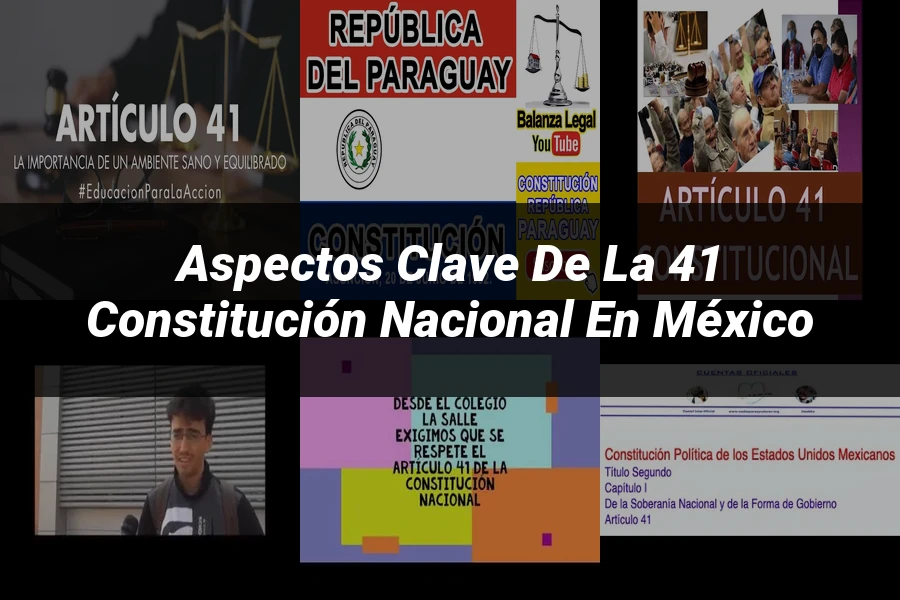 "Aspectos Clave de la 41 Constitución Nacional en México"
