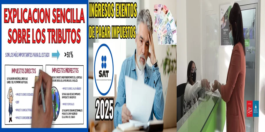 "Aspectos Clave de la Administración de Impuestos en México"