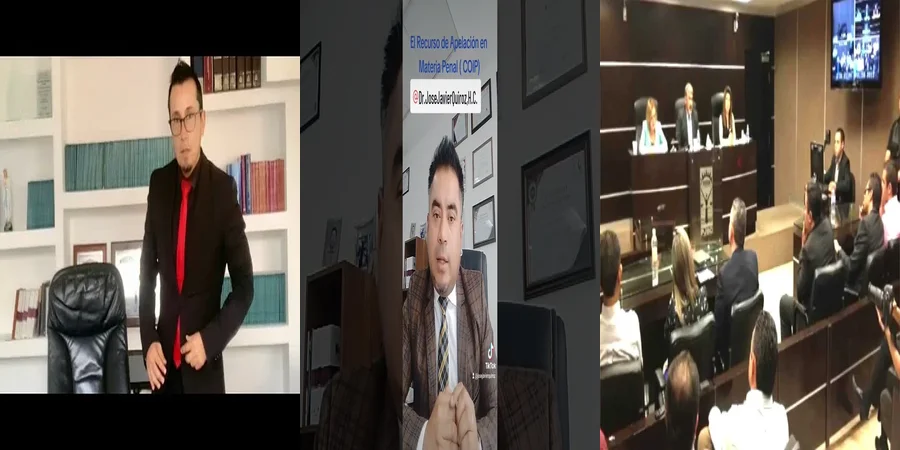 "Aspectos Clave de la Apelación Adhesiva Penal en México"