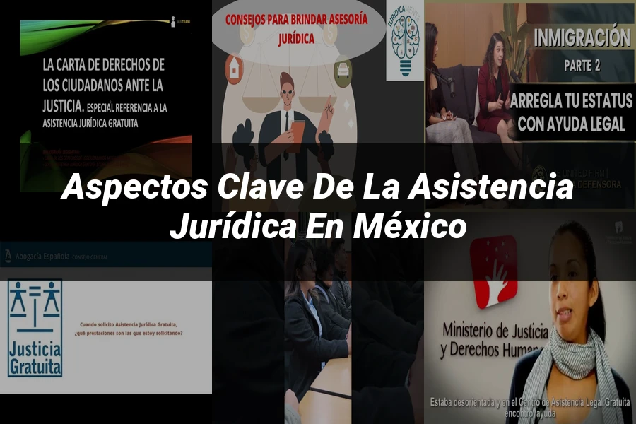 "Aspectos Clave de la Asistencia Jurídica en México"