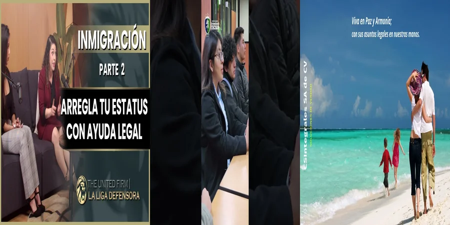 "Aspectos Clave de la Asistencia Jurídica en México"
