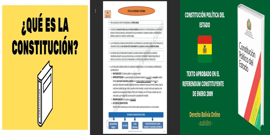 "Aspectos Clave de la Constitución en México para Abogados"