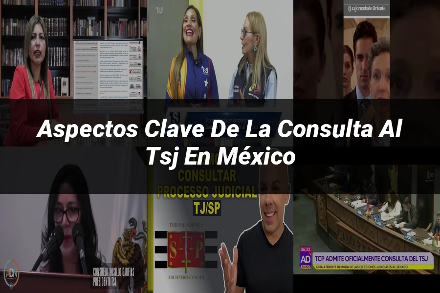 "Aspectos Clave de la Consulta al TSJ en México"