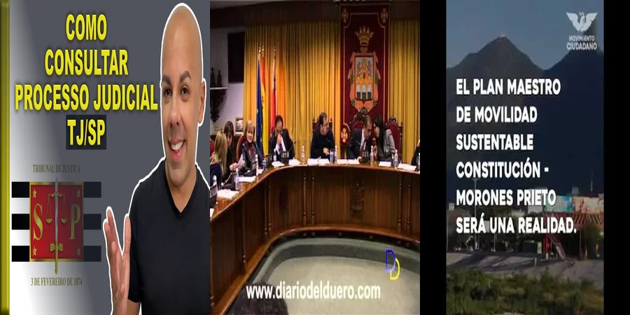 "Aspectos Clave de la Consulta al TSJ en México"
