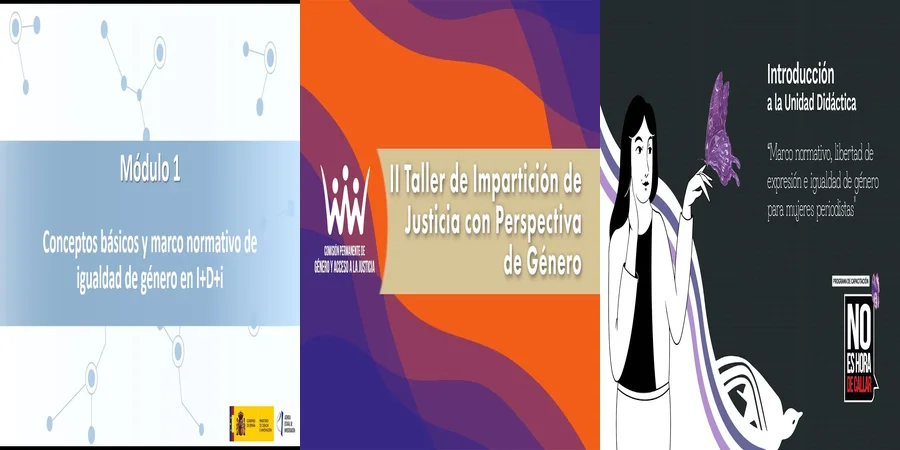 "Aspectos Clave de la Equidad de Género en la Ley Mexicana"