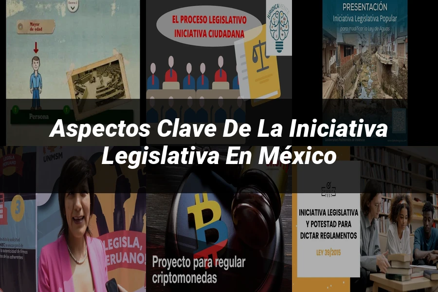"Aspectos Clave de la Iniciativa Legislativa en México"
