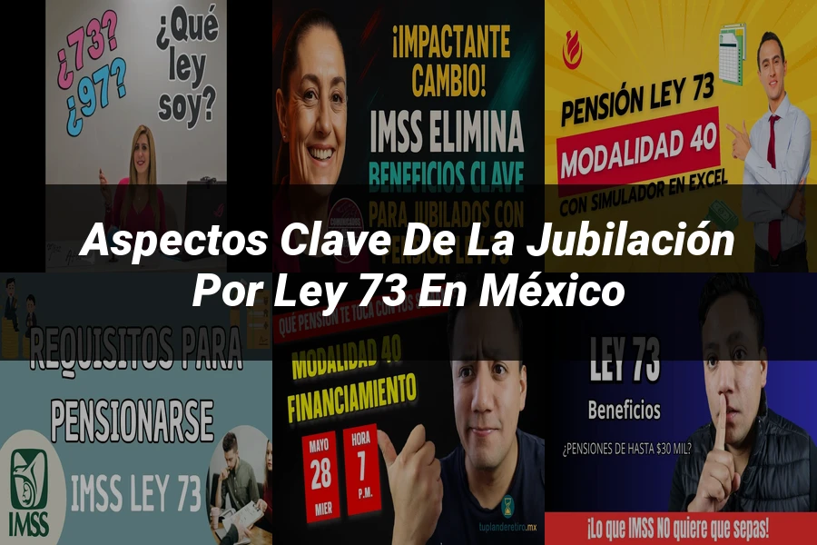"Aspectos Clave de la Jubilación por Ley 73 en México"