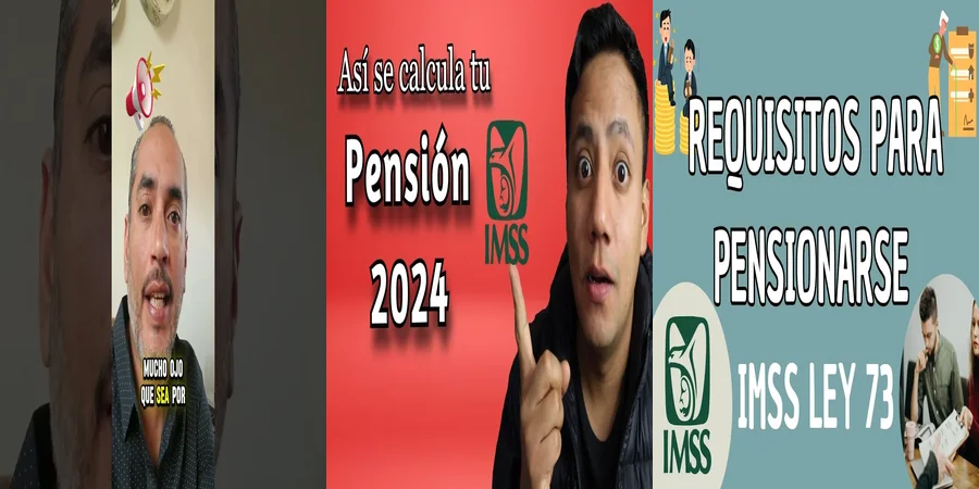 "Aspectos Clave de la Jubilación por Ley 73 en México"