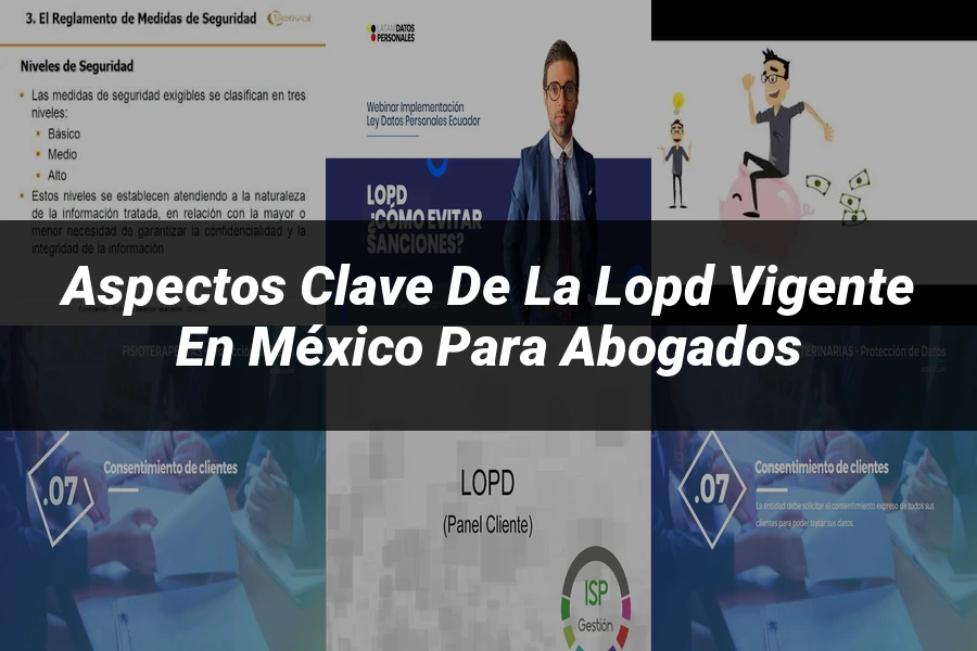 "Aspectos Clave de la LOPD Vigente en México para Abogados"
