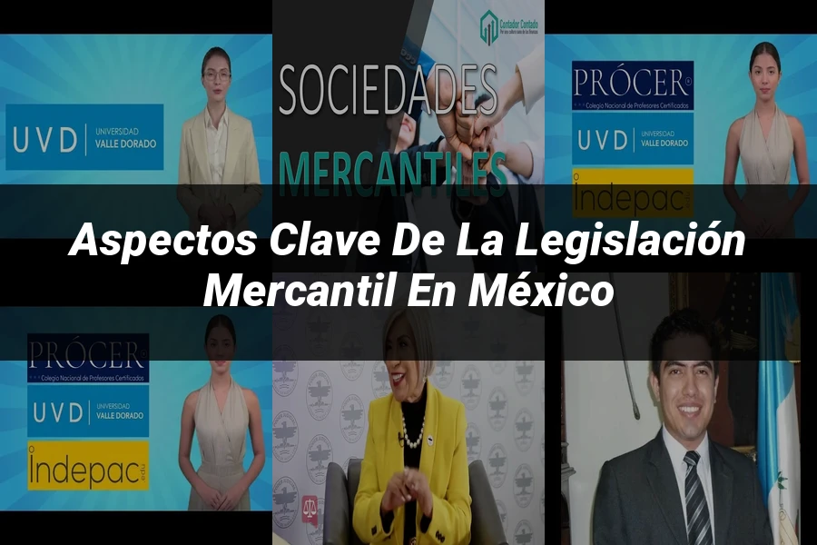 "Aspectos Clave de la Legislación Mercantil en México"