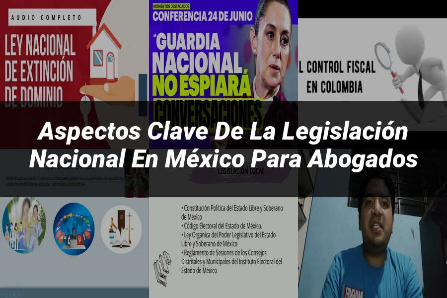 "Aspectos Clave de la Legislación Nacional en México para Abogados"