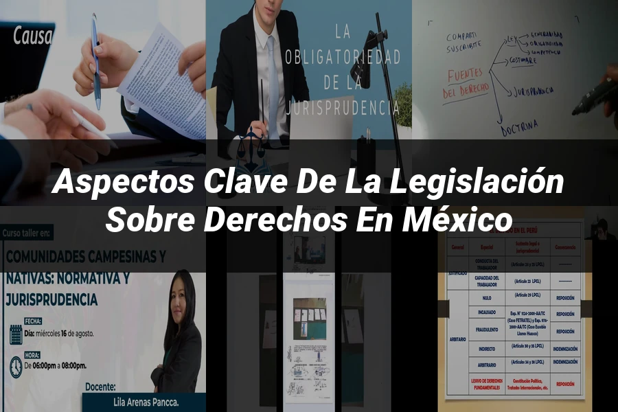 "Aspectos Clave de la Legislación sobre Derechos en México"