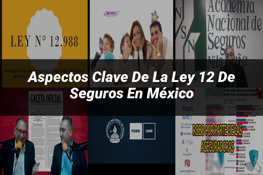 "Aspectos Clave de la Ley 12 de Seguros en México"