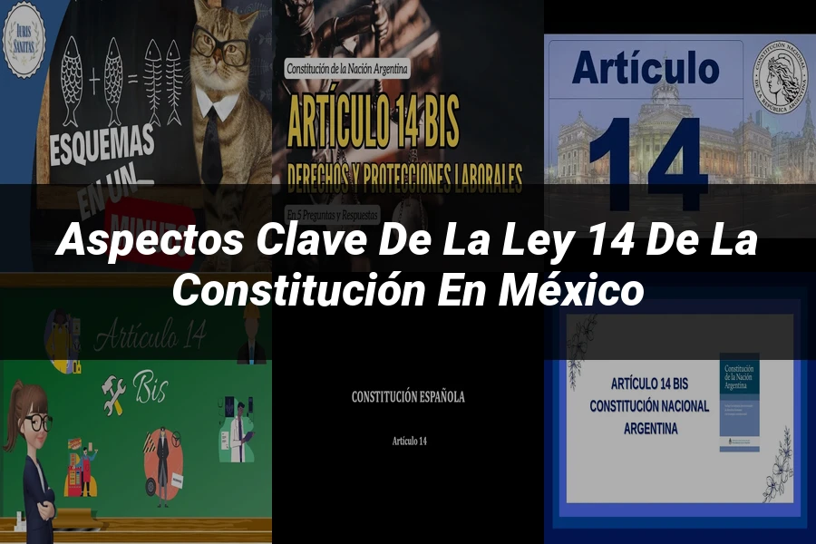"Aspectos Clave de la Ley 14 de la Constitución en México"