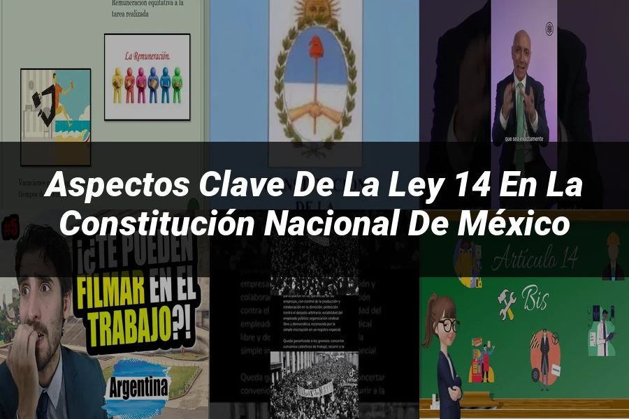 "Aspectos Clave de la Ley 14 en la Constitución Nacional de México"