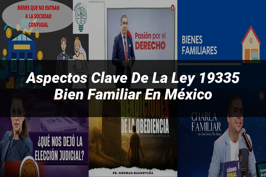 "Aspectos Clave de la Ley 19335 Bien Familiar en México"
