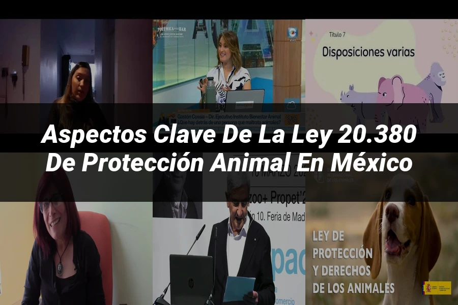 "Aspectos Clave de la Ley 20.380 de Protección Animal en México"