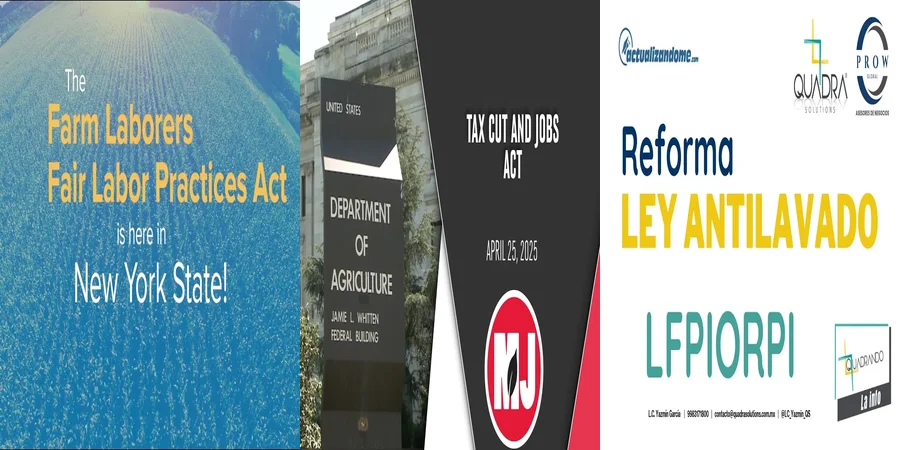 "Aspectos Clave de la Ley 22248 en el Contexto Legal Mexicano"