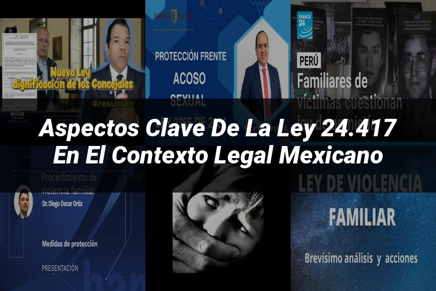 "Aspectos Clave de la Ley 24.417 en el Contexto Legal Mexicano"