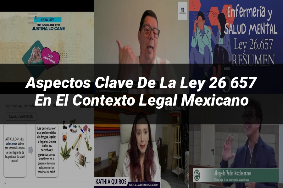 "Aspectos Clave de la Ley 26 657 en el Contexto Legal Mexicano"