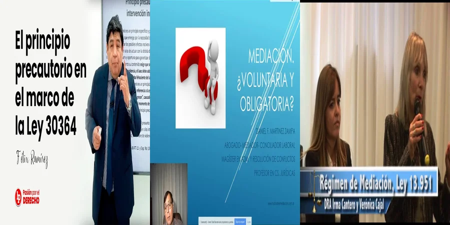"Aspectos Clave de la Ley 26589 en el Contexto Mexicano"