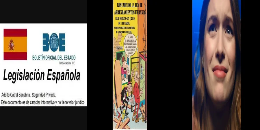 "Aspectos Clave de la Ley 29 de Arrendamientos Urbanos en México"